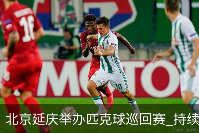 北京延庆举办匹克球巡回赛 持续擦亮户外运动城市名片